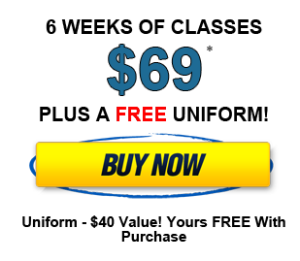 Image of 6 Weeks of Karate Classes only 69*