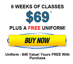 Image of 6 Weeks of Karate Classes only 69*