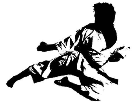 Image of Flying Karate Side Kick