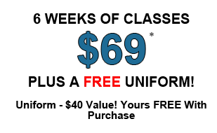 Image of 6 Weeks of Karate Classes only $69.00